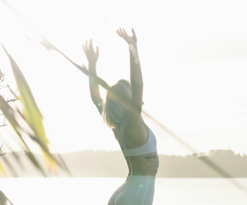 How Gut Health Influences Immunity (And What You Can Do About It)