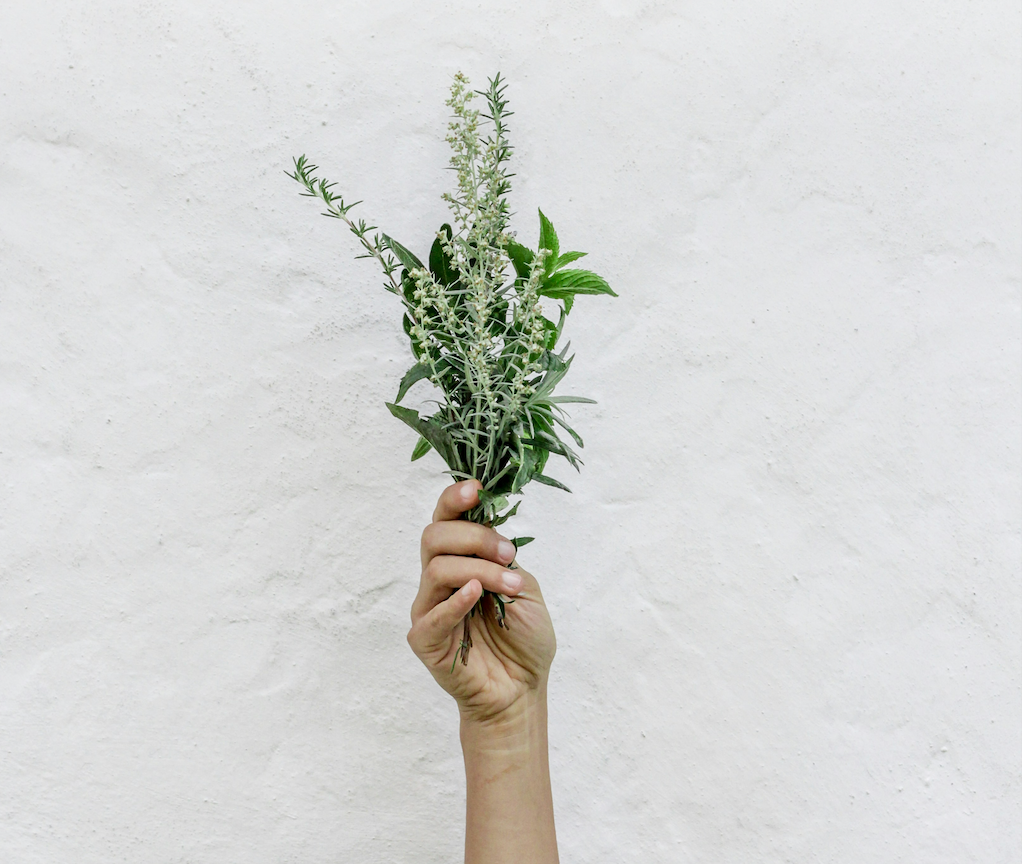 Herbal vs. Synthetic Gut Supplements