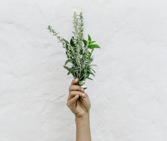 Herbal vs. Synthetic Gut Supplements