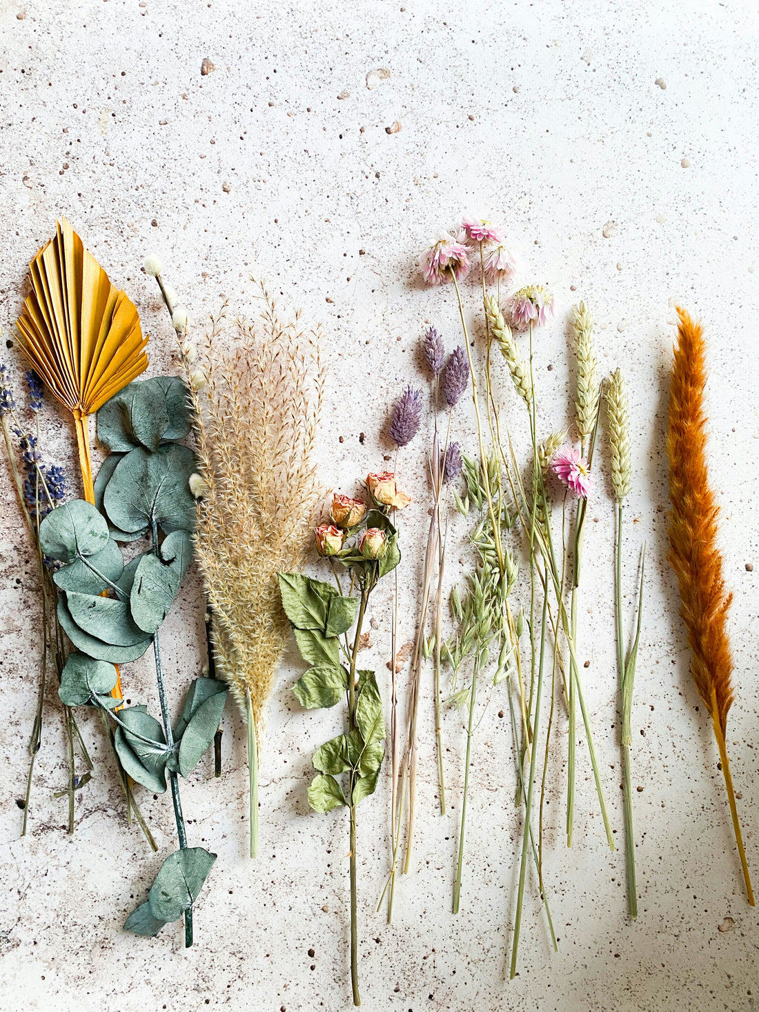Leaky Gut: Myth vs. Science (and How Herbs Can Help Support the Gut Lining)