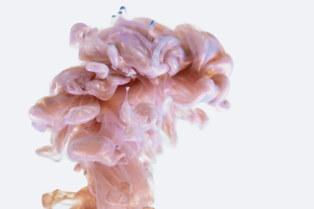 The Gut-Brain Connection: How Digestion Impacts Mood & Stress